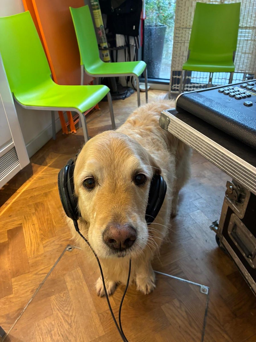 Grace Davidson tweet media