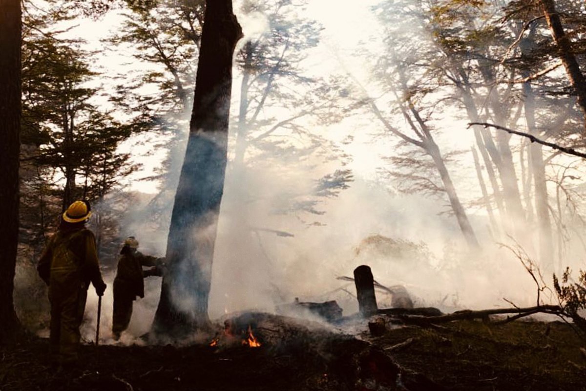 👨‍🚒 #Ambiente || Brigadistas santafesinos combaten incendios en Chubut con tareas de ataque directo y cortafuegos tinyurl.com/2w299y62