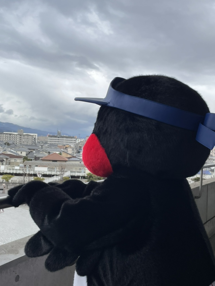 かんな (@kanna96) / Posts / X