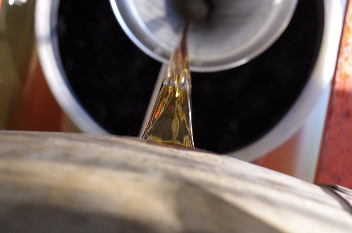 BEHIND THE CASK tweet media