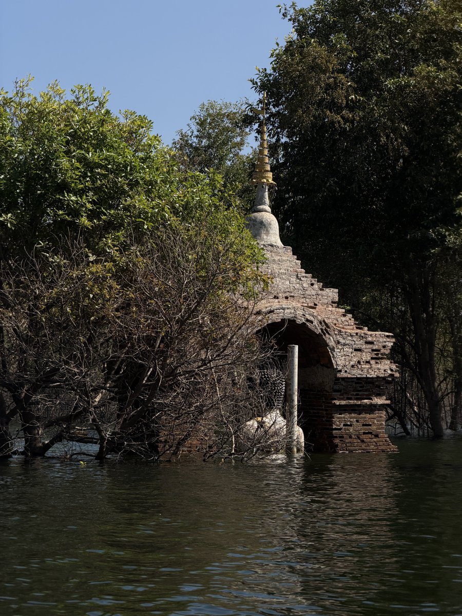 Dekchaikumkom's tweet image. วัดกลางน้ำ จ.ลำพูน ที่ล้อมรอมด้วยต้นฉำฉา นั่งเรือ 10 นาที ตรงแพที่เดียวกับไปโรงเรียนเรือนแพ หนังเรื่องคิดถึงวิทยา วัดของจริงสวยมาก น่าขนลุก แถมยังมีต้มฉำฉากลางน้ำอีกด้วย 

📍วัดบ้านเก่า วัดกลางแม่น้ำปิง , อุทานแห่งชาติแม่ปิง จ.ลำพูน