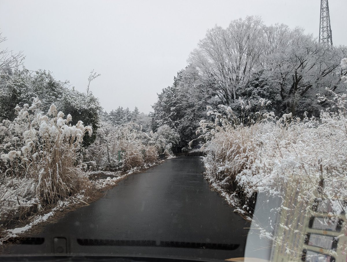 buzz_jj's tweet photo. 雪だーｗ https://t.co/bAi15wogso