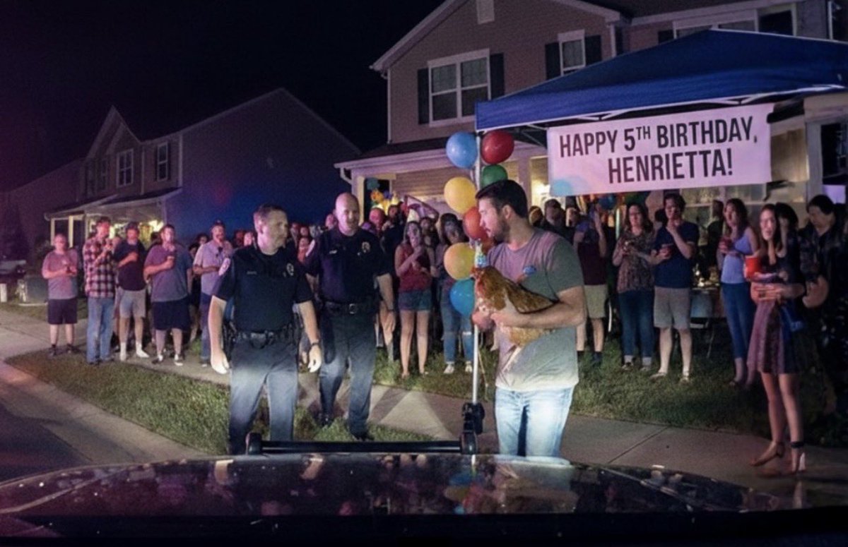 🐔🎂🎉INSOLITE – La police intervient pour une fête bruyante et découvre un homme organisant l’anniversaire de sa poule avec soixante invités.