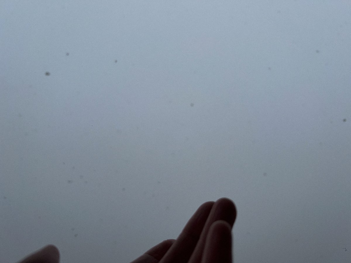 minori_contact's tweet photo. ゆき❄️

試写会がおわったあとも雪が降ってたし
優しい忘却のジャケット撮影でも雪が降ってきて
そのたびに有希を近くに感じてきたなあ

今日の舞台挨拶にご来場されるみなさま、
どうか足元に気をつけてお越しくださいね！

#涼宮ハルヒの消失 https://t.co/gpuNruCgf7