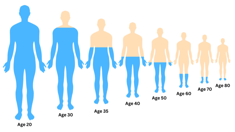 AasrawCo's tweet photo. Does estradiol exist in men's bodies? Does its level affect men? https://t.co/aXuZ55ZrK4