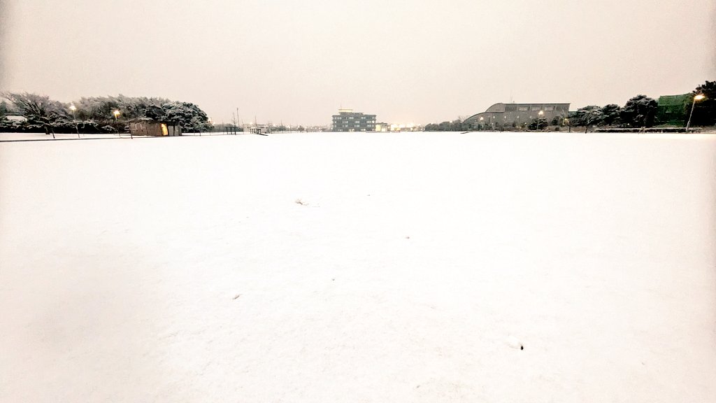 真っ白〜❄

ｼｺﾞｵﾜ　気をつけて帰ろ