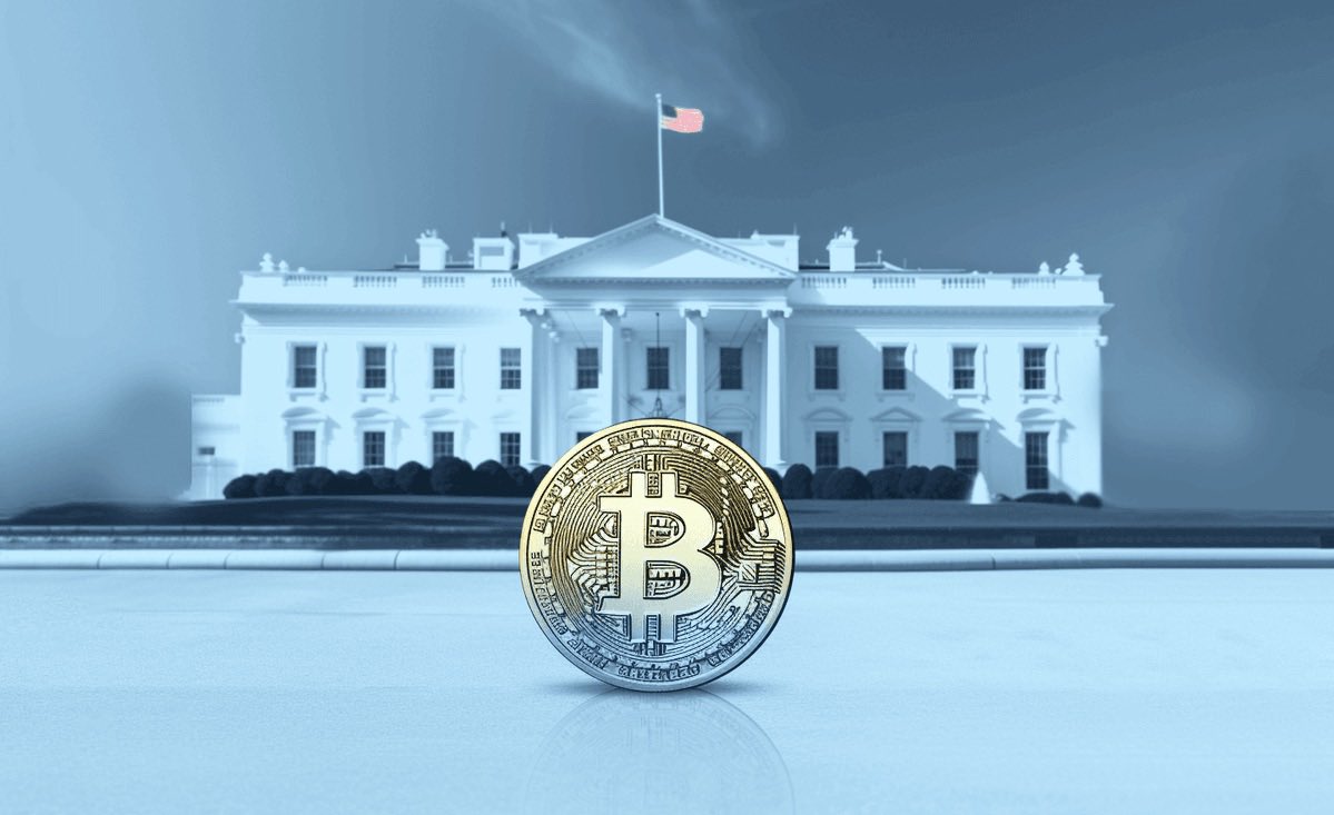 The Bitcoin Letter tweet media