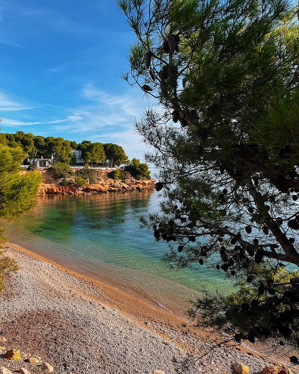terresebretur's tweet photo. 🌊 Vorejant el mar a l'Ampolla, feu la ruta dels penya-segats que us durà per paisatges abruptes d’una gran bellesa. El GR 92 us espera, també a l’hivern!
📷 m.popyuk_x_x, amandiinecln, lajudit_dels_cingles
@lampollaturisme #LAmpolla #TerresdelEbre #ReservadelaBiosfera https://t.co/y0yuRqmvuJ