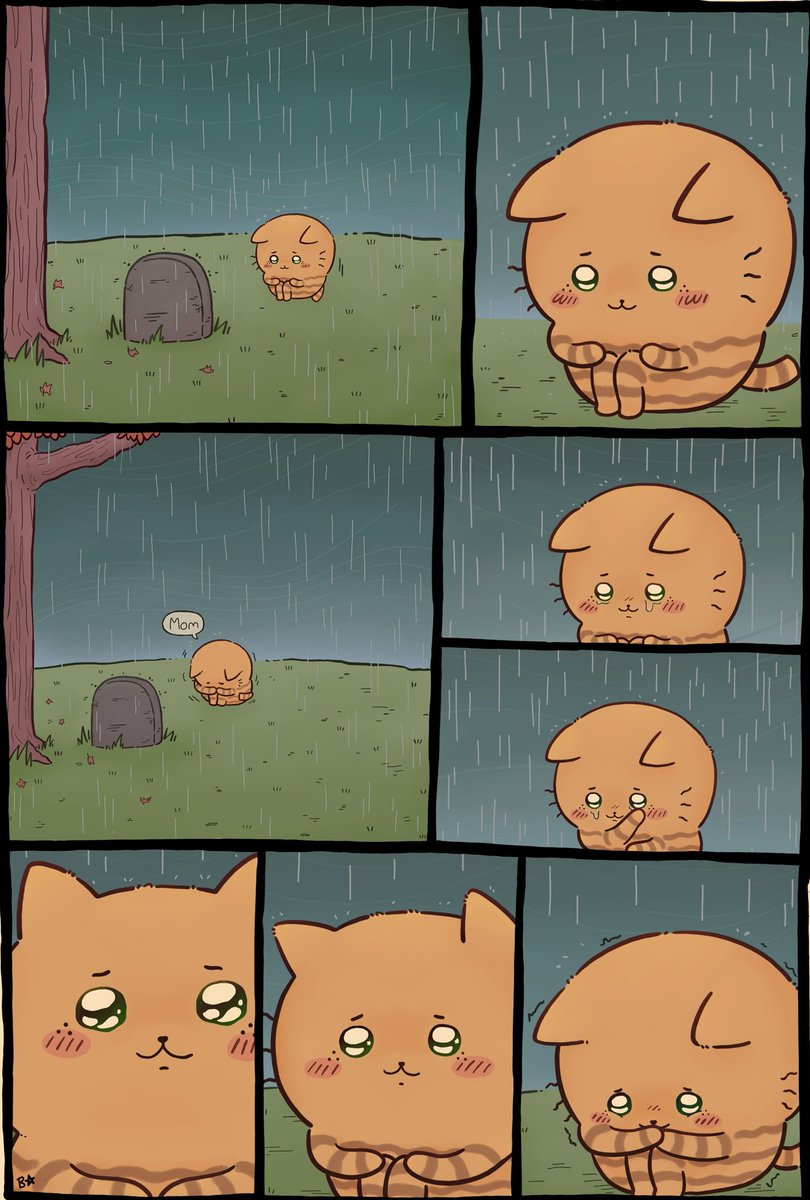 poheblack tweet media