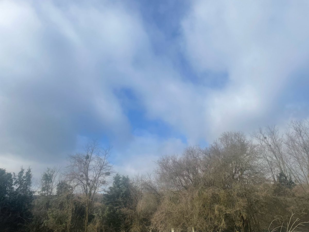 Hande Hakan tweet media