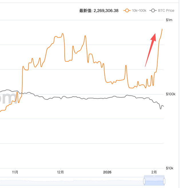 Looknode tweet media