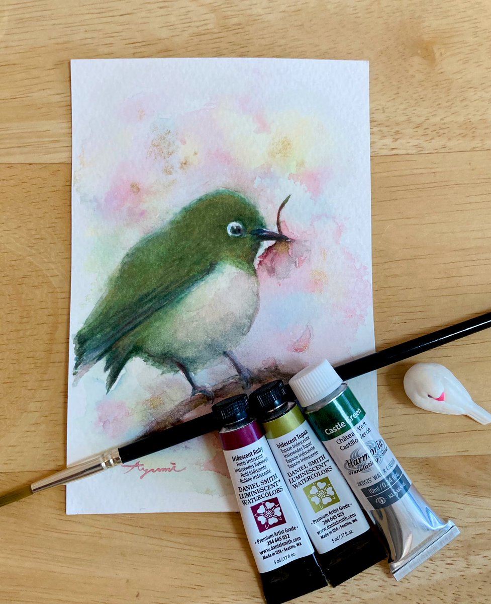 メジロちゃん🕊️ 文鳥と比べても半分程の重さしかないようです