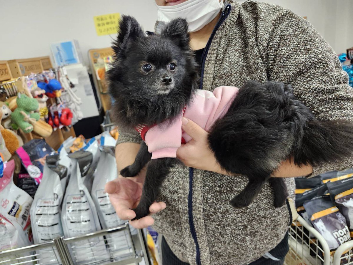 くろまめちゃん💕
ご来店ありがとうございました☺️