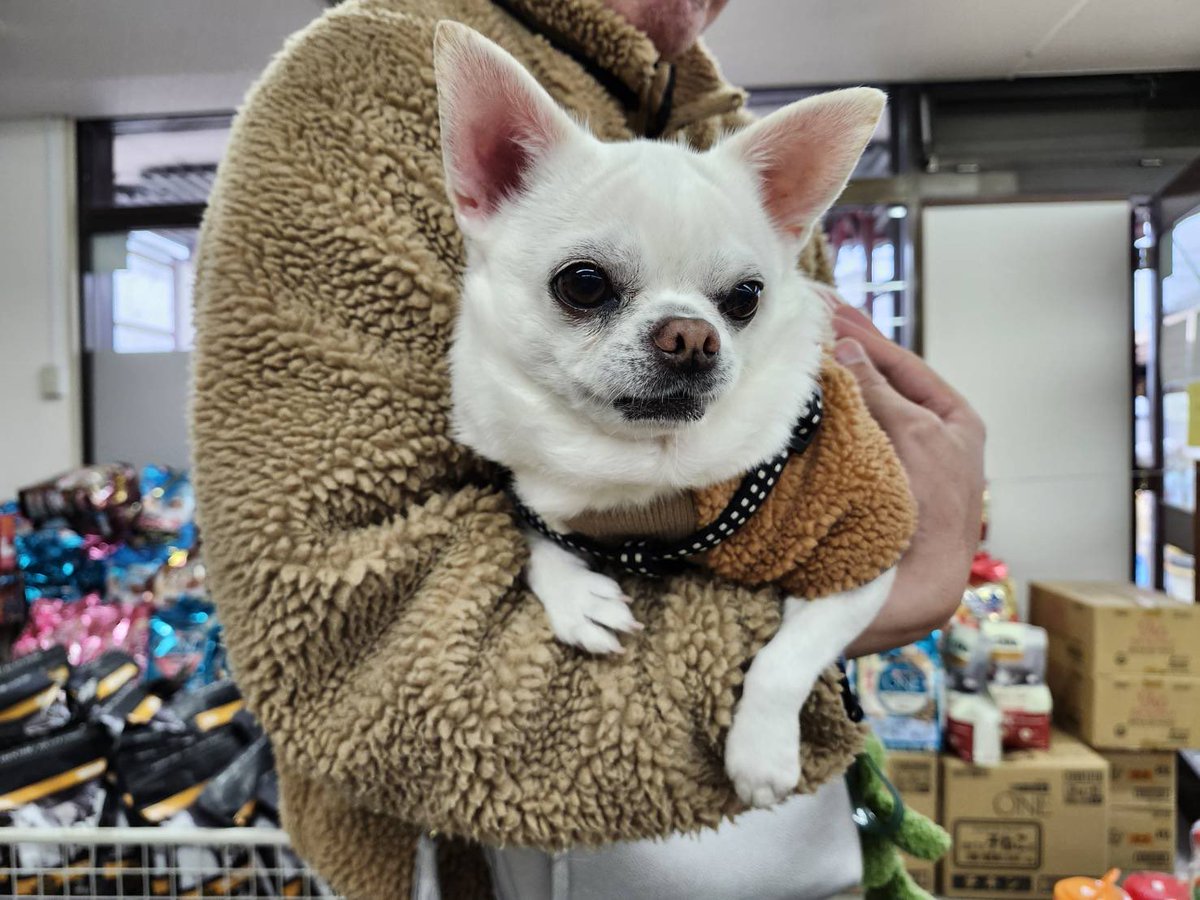 あまおくん💕
ご来店ありがとうございました☺️