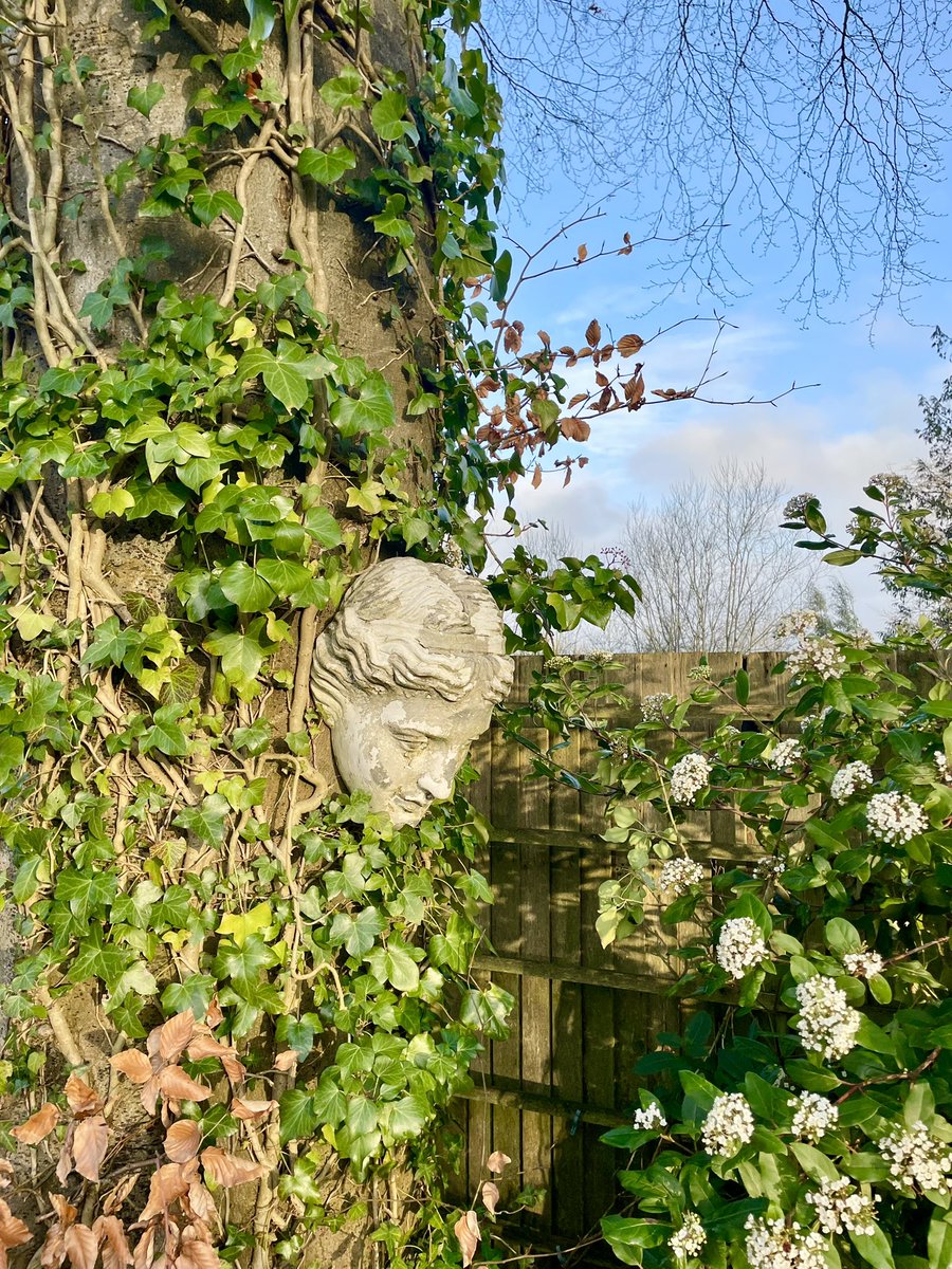Stifyn1's tweet photo. Eyes everywhere #chwefror #garden #naturephotography #winter #weekend https://t.co/lAJNCGyvuz