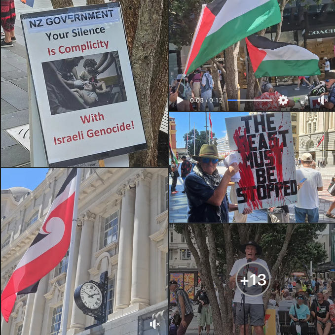 DavidRobie's tweet photo. A  New Zealand Palestine solidarity rally in Auckland Tāmaki Makaurau - Waitangi Weekend. With the theme of decolonisation of Aotearoa and Palestine.
#cafepacificmedia #aotearoa #nzpol  #waitangiday #protest #PalestineGenocide @OnlinePalEng @CrowdvBank 
https://t.co/649XamC4eS https://t.co/6qdD59iY4b