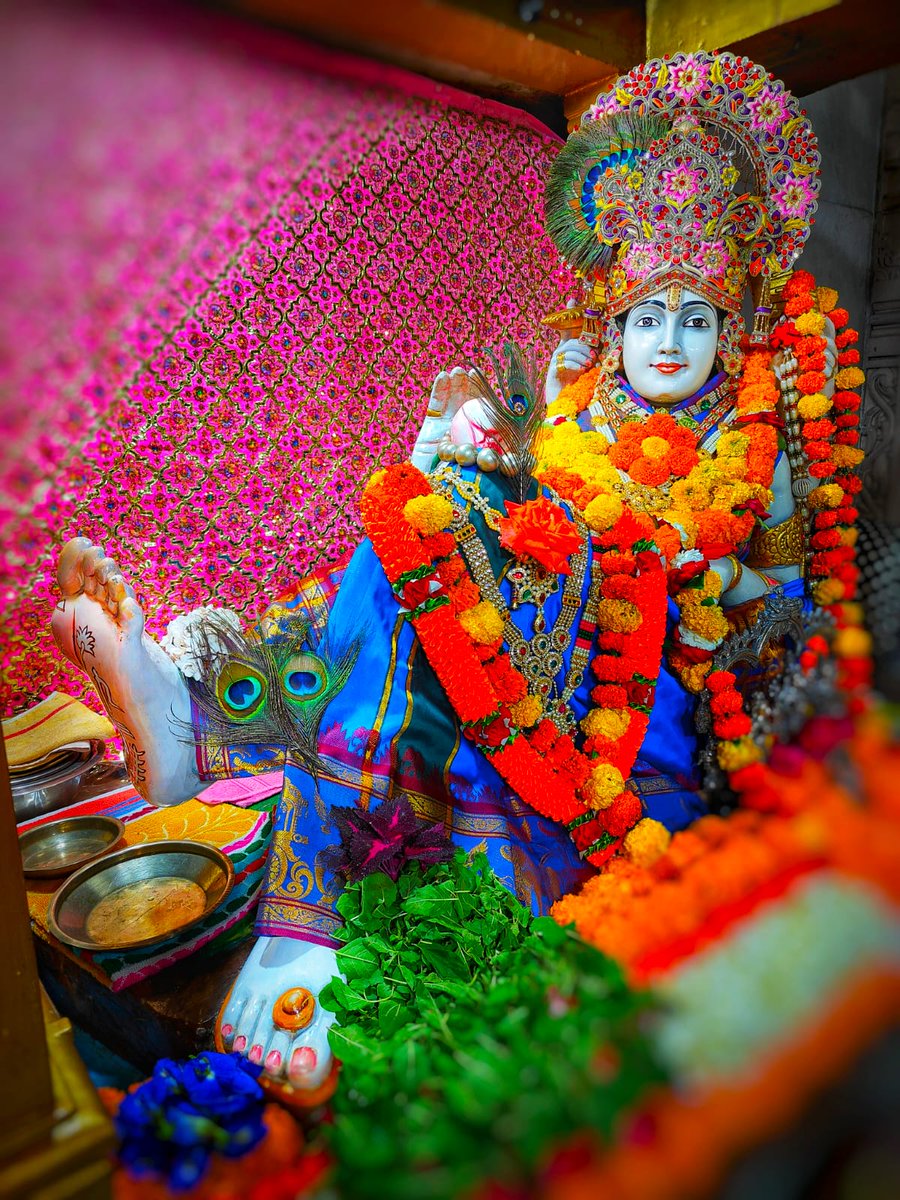 श्री भालका तीर्थ (कृष्ण धाम), प्रभासक्षेत्र - गुजरात (सौराष्ट्र),
दिनांक: 07 फरवरी 2026, माघ कृष्ण षष्ठी  - शनिवार
*मध्याह्न शृंगार*