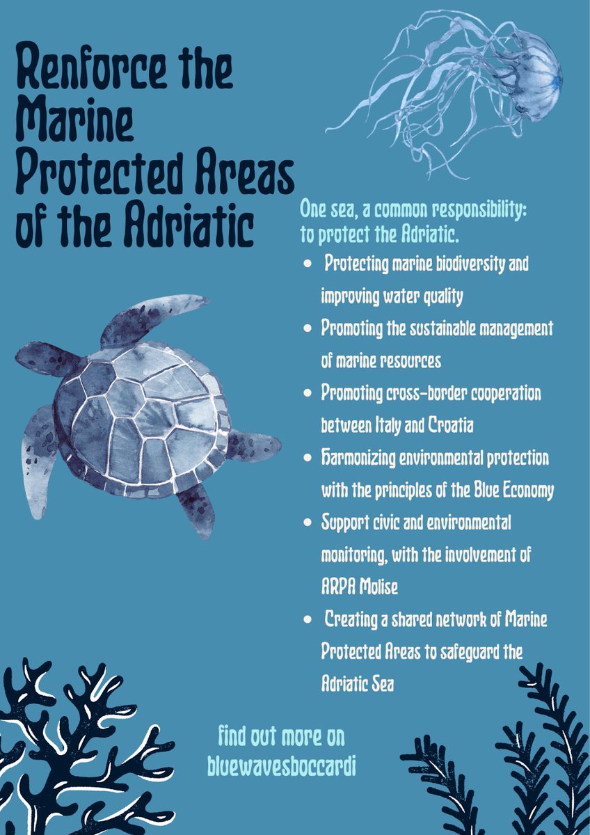 bluewavesb's tweet image. One sea,one goal: protecting the Adriatic.
We’re working to strengthen the Marine Protected Areas of the Conero Park,the Trigno River Mouth and the island of Silba.We combine the environment and the Blue Economy with the support of ARPA Molise.
#ASOC2526 #MarineParks #FutureBlue