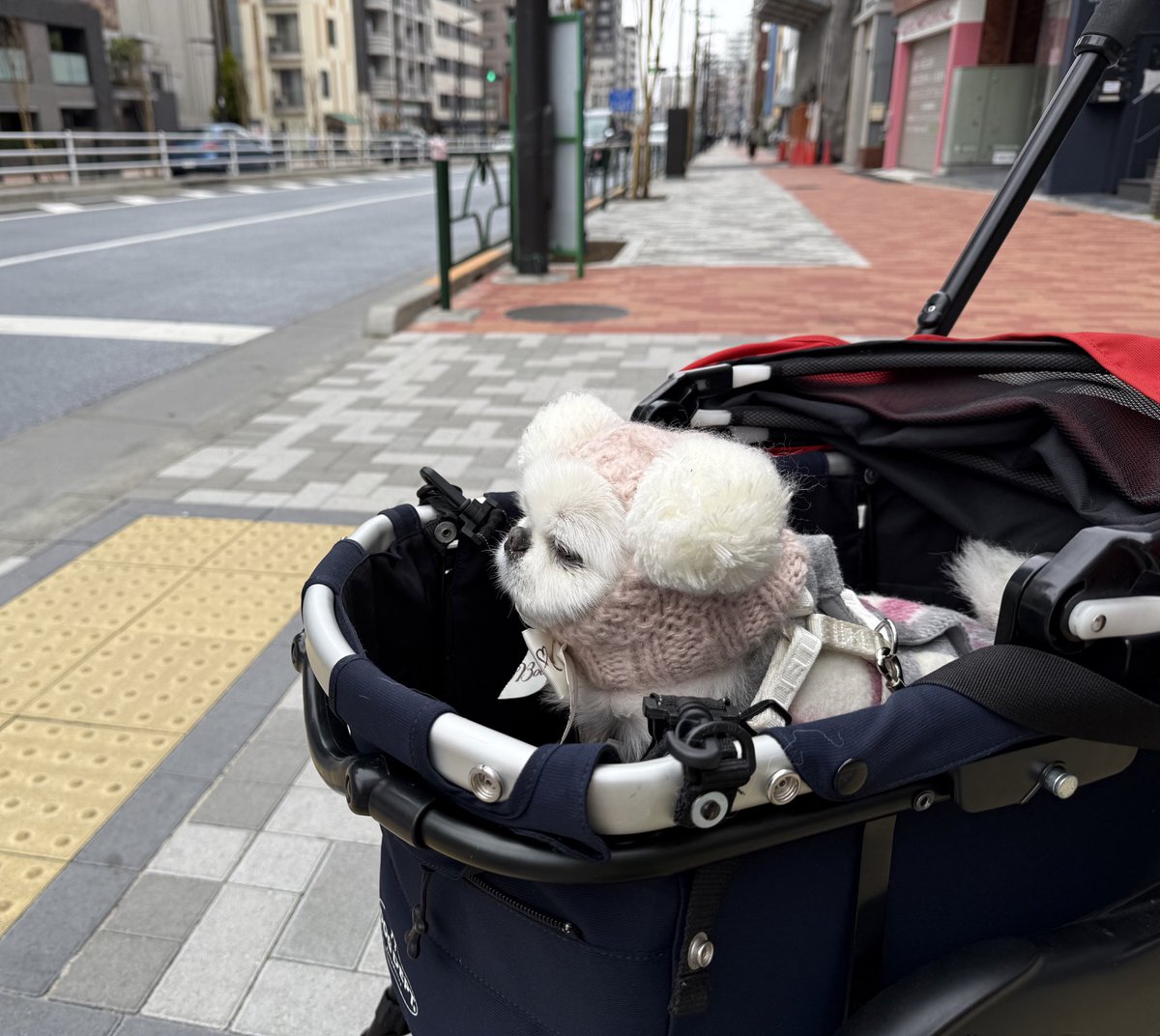 川上優 (森野雫)