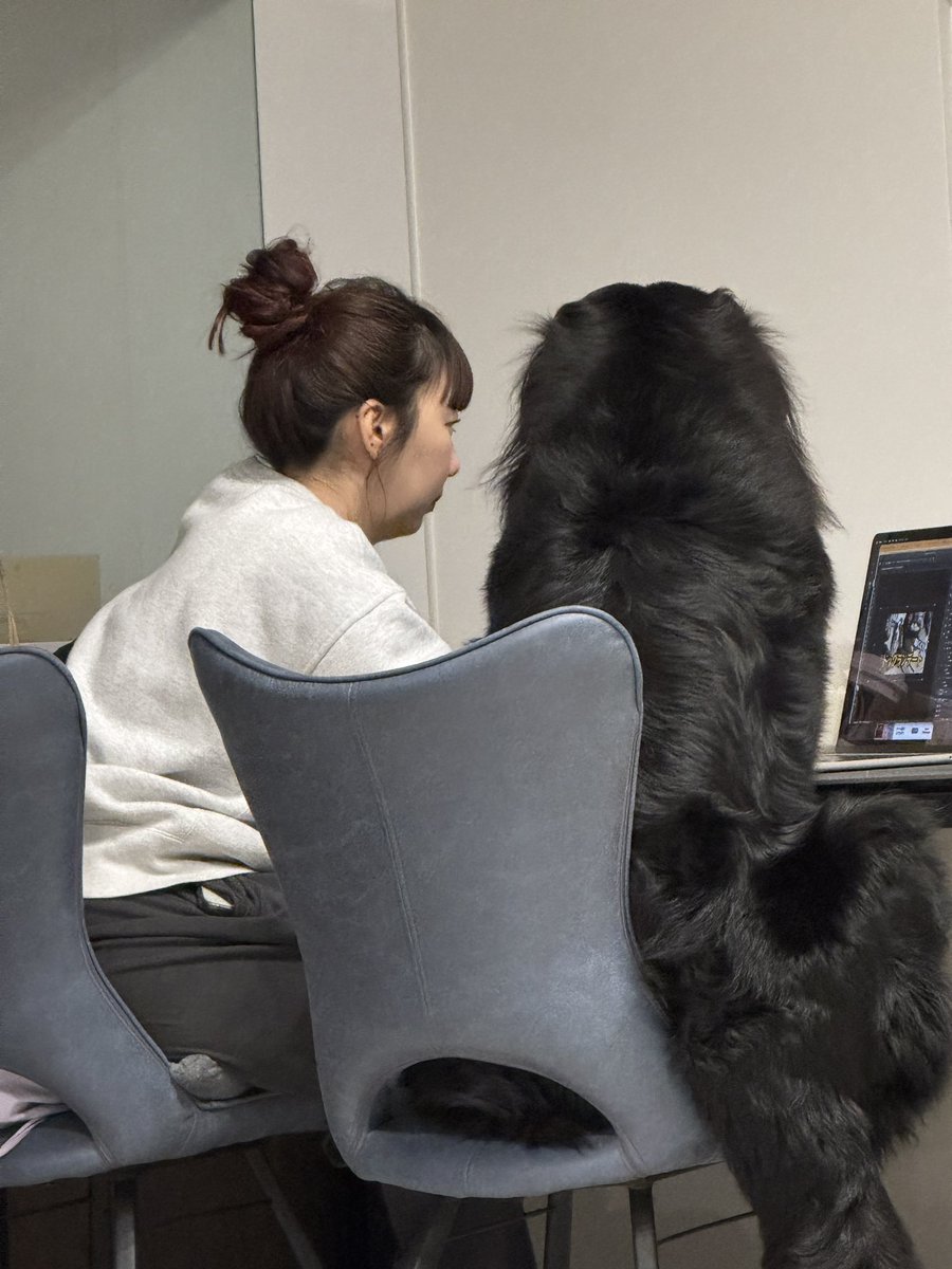 2人で動画編集してる