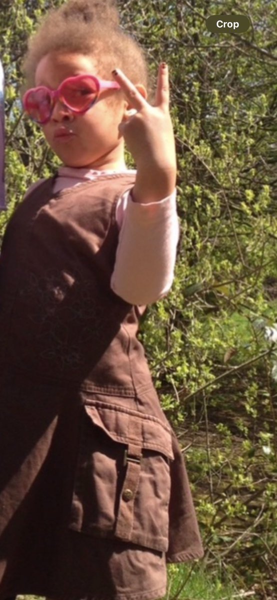 Jase Whelan tweet media