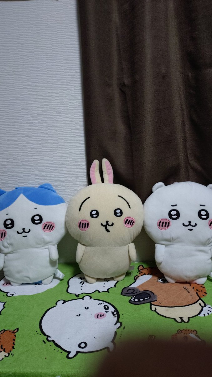 こんな感じです😊