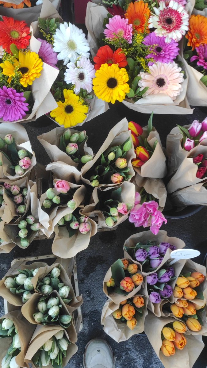 Δύο εβδομάδες είχα να εμφανιστώ κι ανησύχασαν