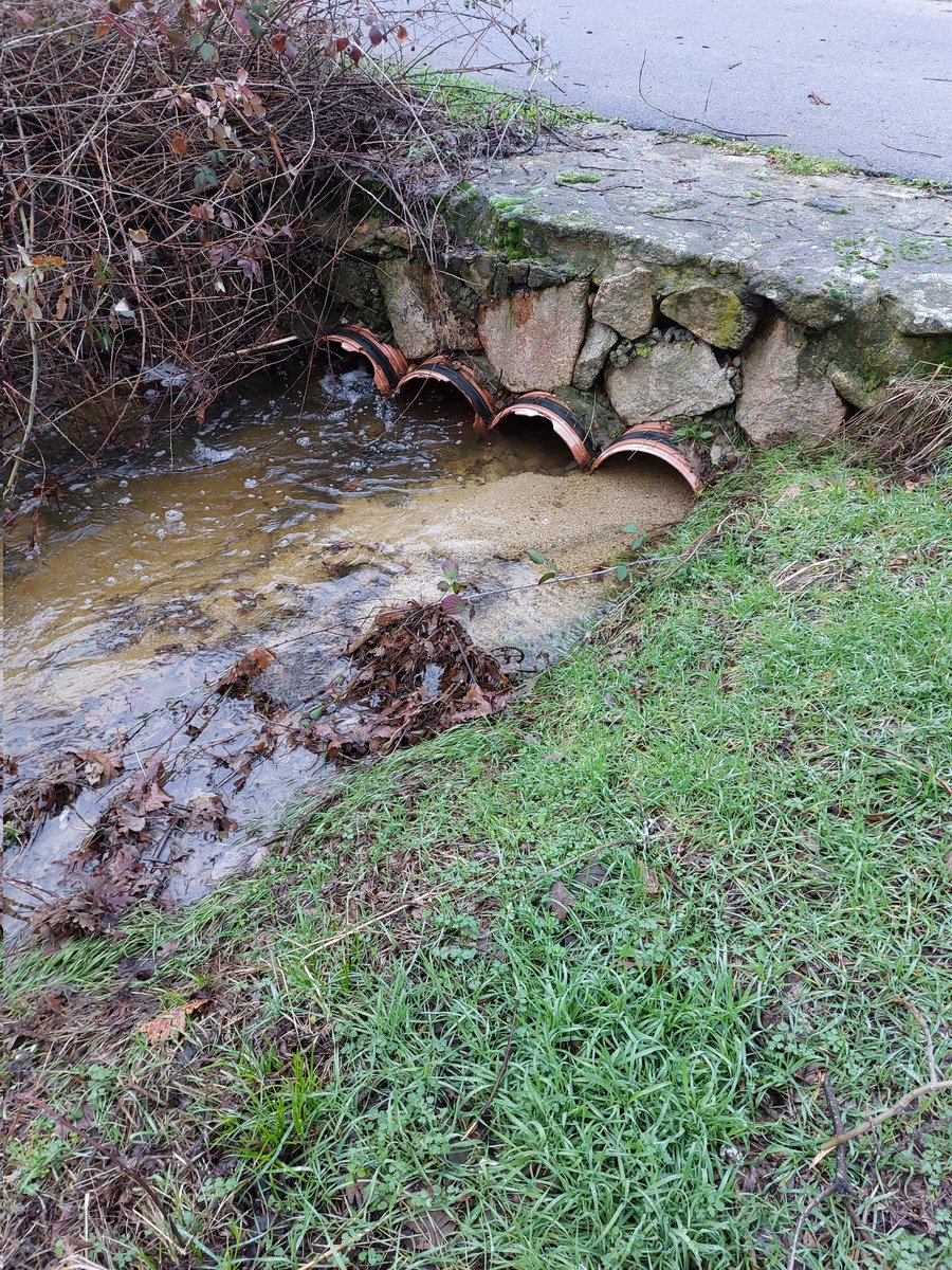 Ya está el Regajo saltando por encima de alguna calle del Retamar. Pasos de agua de la Señorita Pepis que no amplían ni mantienen. 
Es más importante "embellecer" el entorno de la plaza de toros, cambiando el césped por caucho. 🤦‍♂️
#Moralzarzal
