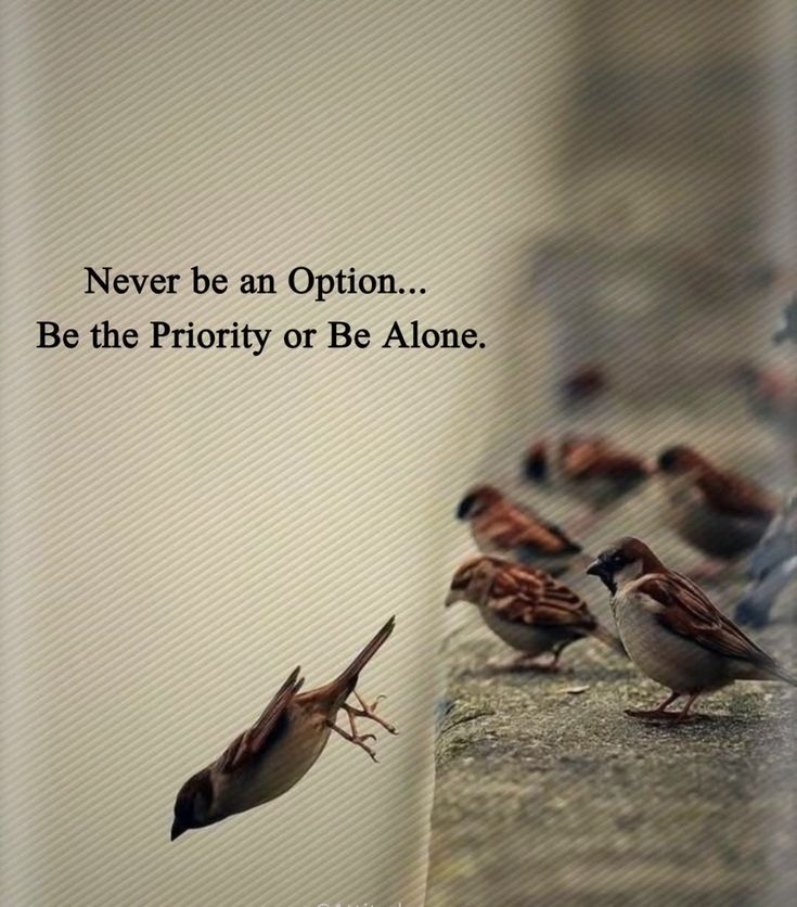 Sugandalu's tweet photo. True 💯
Option ah Erukarathum Alone Erukarathum Namma Kaila Eruku👍👍
Priority Ellaina 💔 Aidum...
#TodayThoughts https://t.co/1RA6x0YfP9
