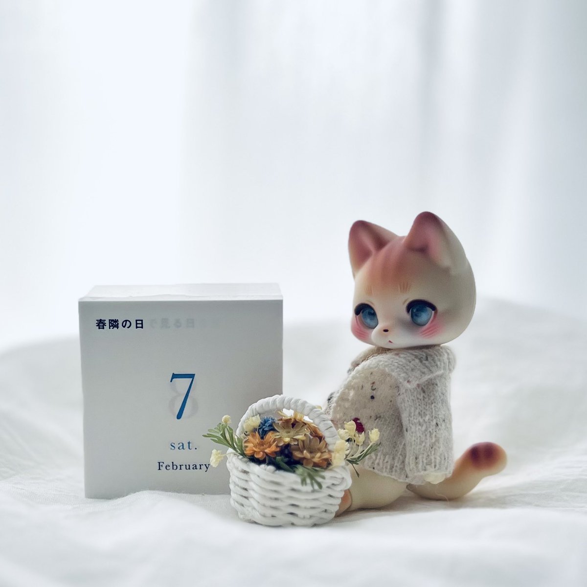 はやく春に寄り添っていただきたい
#kumukuku