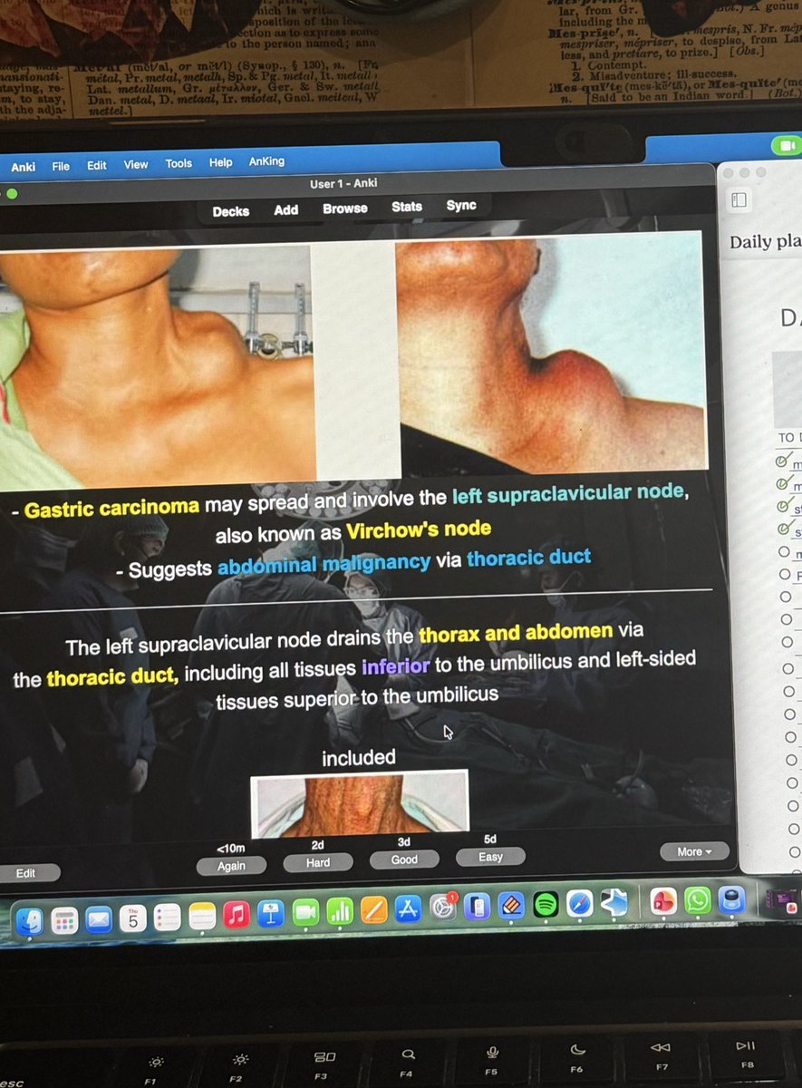 Born to be a Doctor | Hn 🩺🍊 tweet media