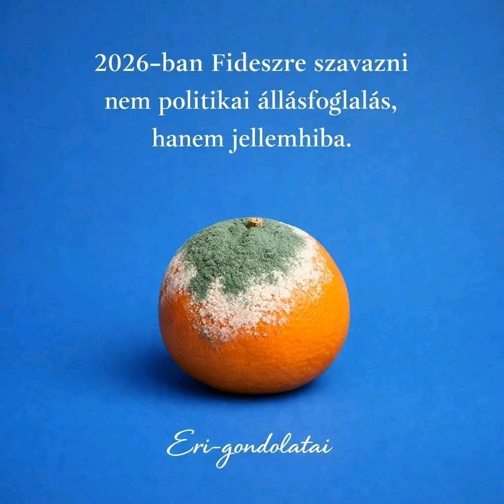 GborNagy452855's tweet photo. https://t.co/QZnpCp6P9A