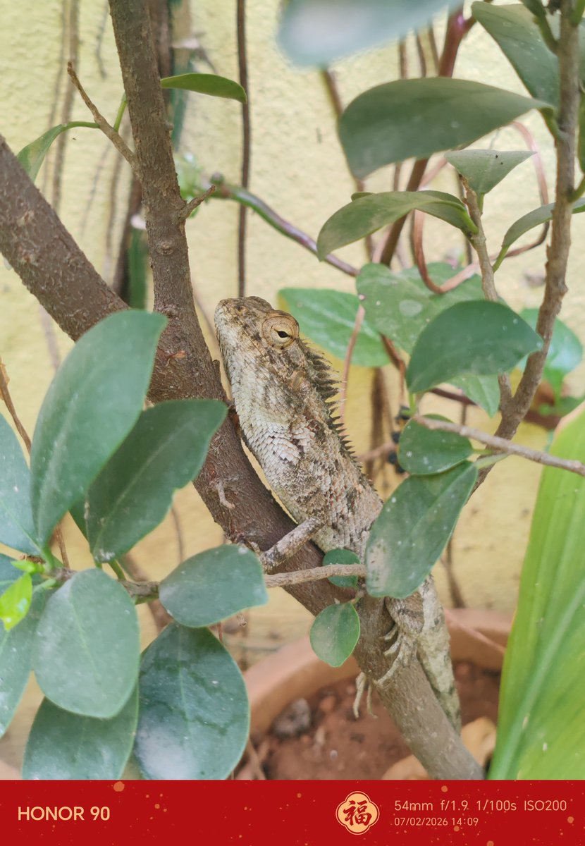 Prash Tech Times tweet media