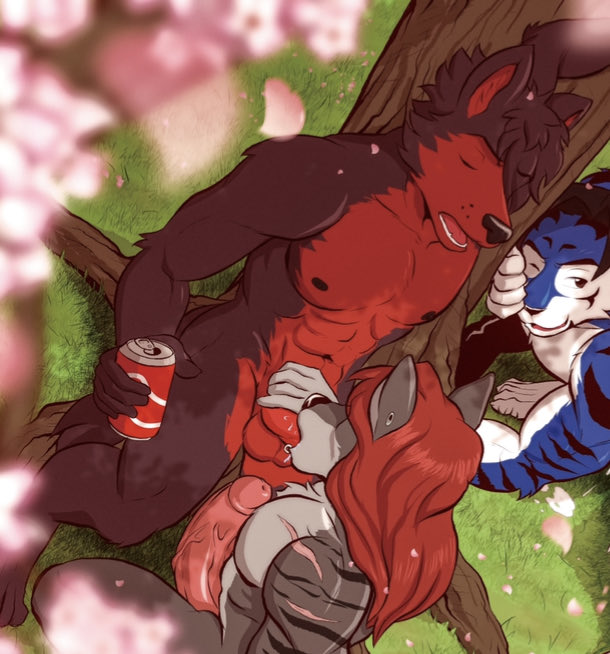 Shikoi Kurogami tweet media