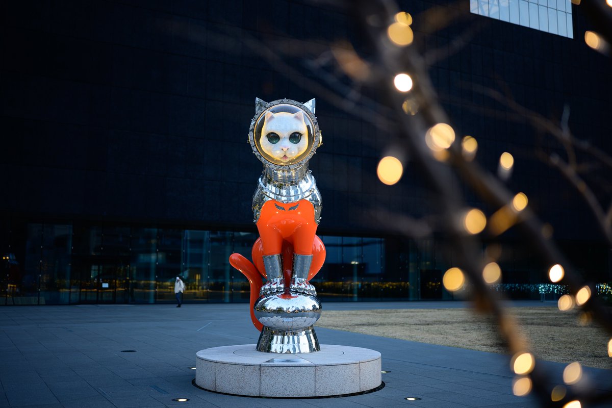 み・・・見るなよ🥺✨ 📷 Nikon Z6III + Z 35mm f/1.2 S #Nikon #私と