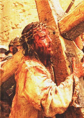 RosarySon tweet media