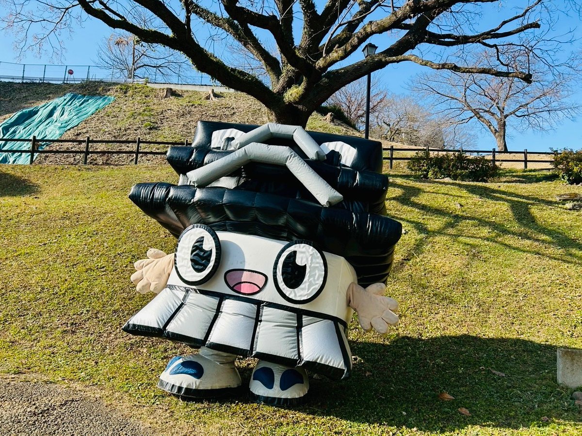 ひごまる【公式】 tweet media