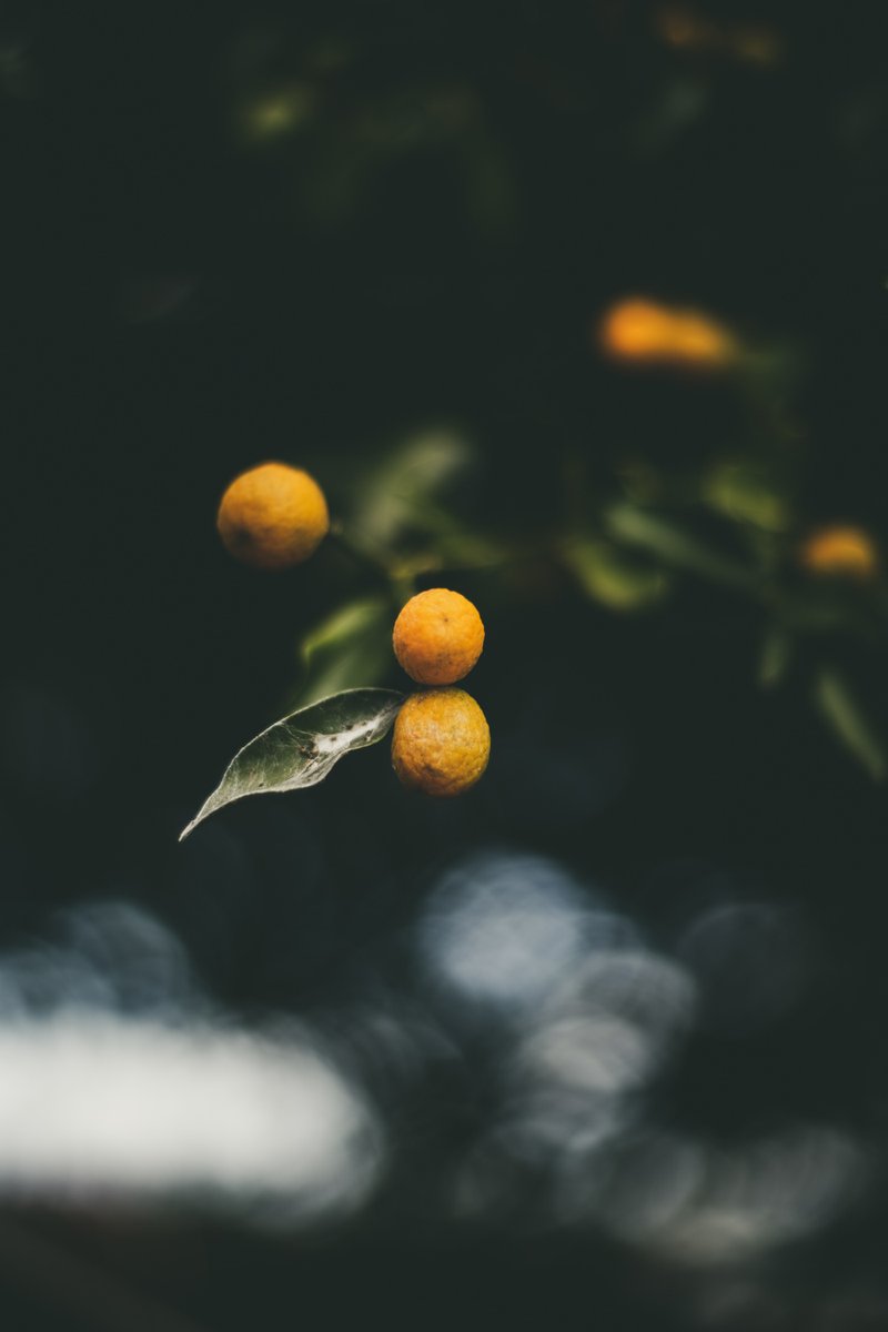 Sinchan_photography (@sinchanphotogr1) on Twitter photo 