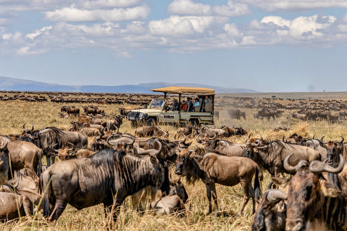 MaaExpeditions's tweet photo. From Kilimanjaro's foothills to Maasai Mara's plains—discover Zera Collection Camps! Luxurious retreats with epic Big Five views, authentic Maasai culture &amp; gourmet bush dining.. Book now: https://t.co/wKlvH1Bvy6 #MaasaiMara #Amboseli #LuxurySafari #MaaExpeditions #KenyaSafari https://t.co/GVr3rn1CIe