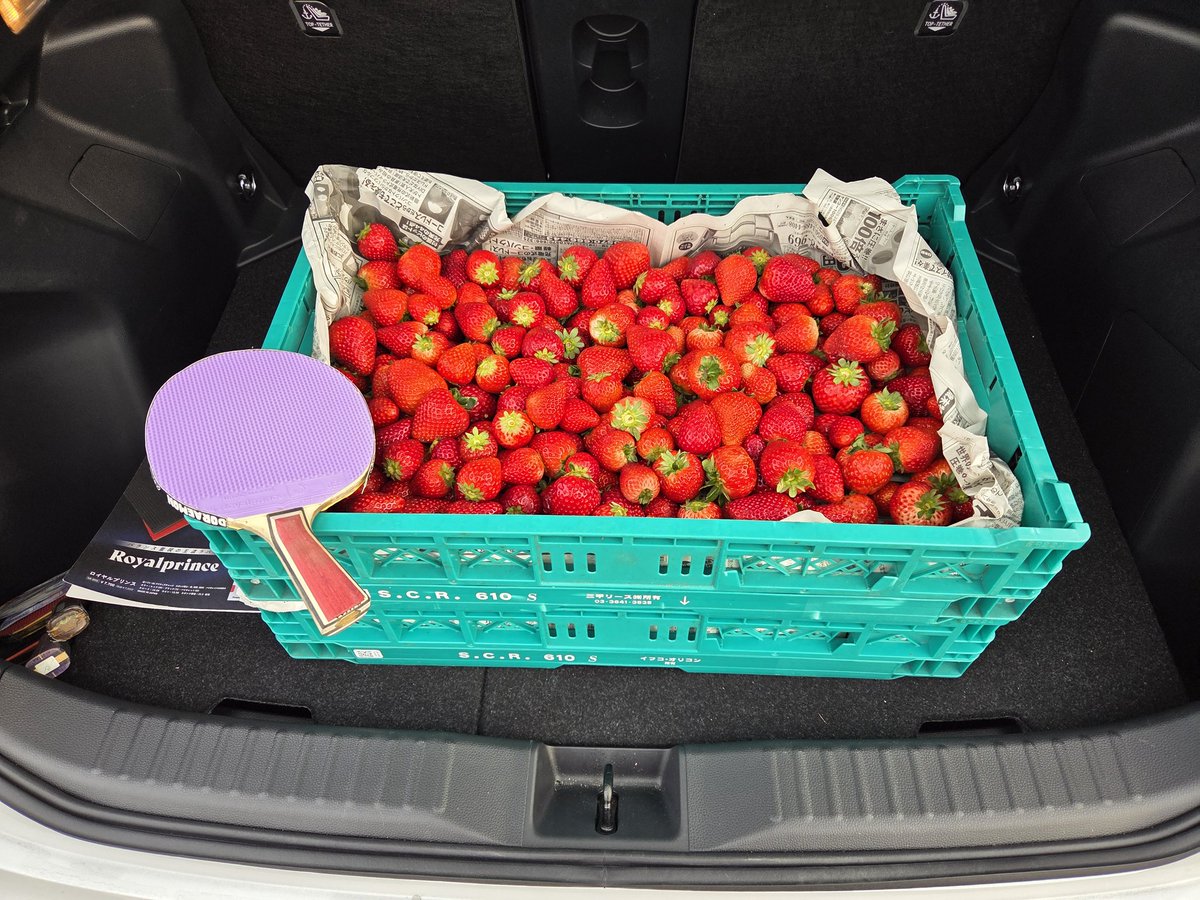 nominoru's tweet photo. 🍓 https://t.co/GImUhK2wKX