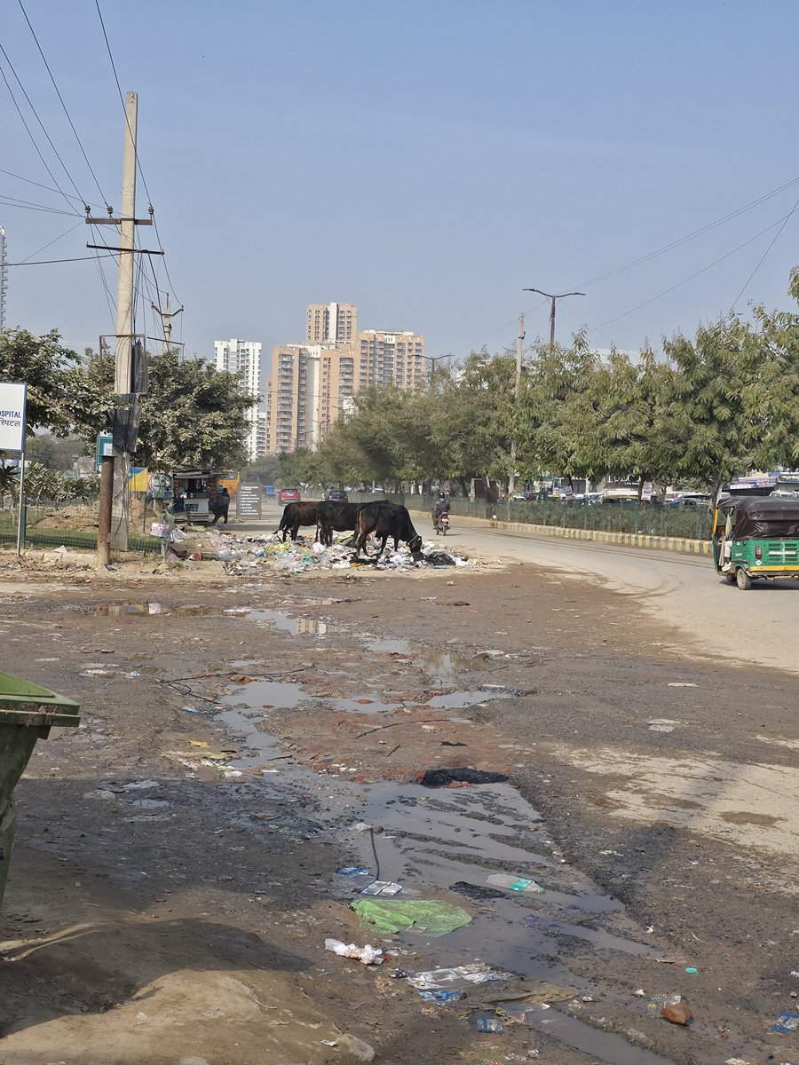 kaviterzb's tweet photo. Average Gurgaon street.

Outside Volkswagen showroom sector 62

@OfficialGMDA @MunCorpGurugram @NayabSainiBJP @cmohry @DC_Gurugram https://t.co/5jHGkNRpSx