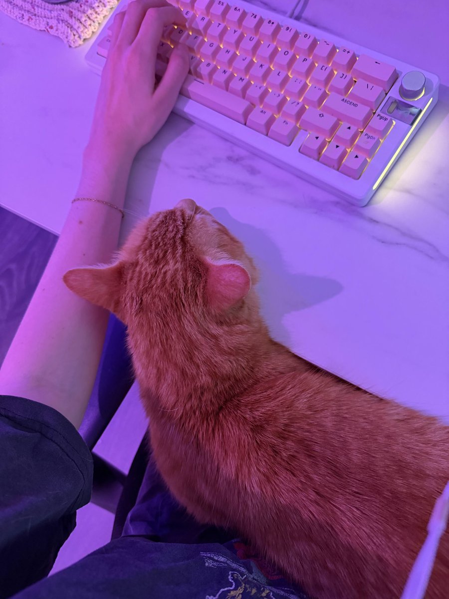 ちぃたん☆／Chiitan (@chiitan7407) / Posts and Replies / X