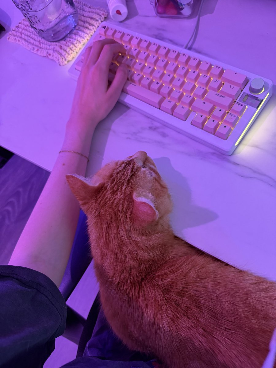 Maddynf tweet media