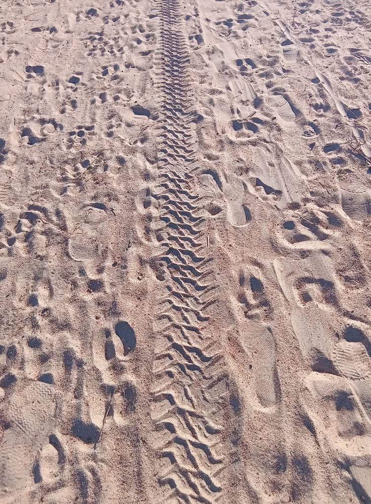 Zimviral 𝕏 tweet media