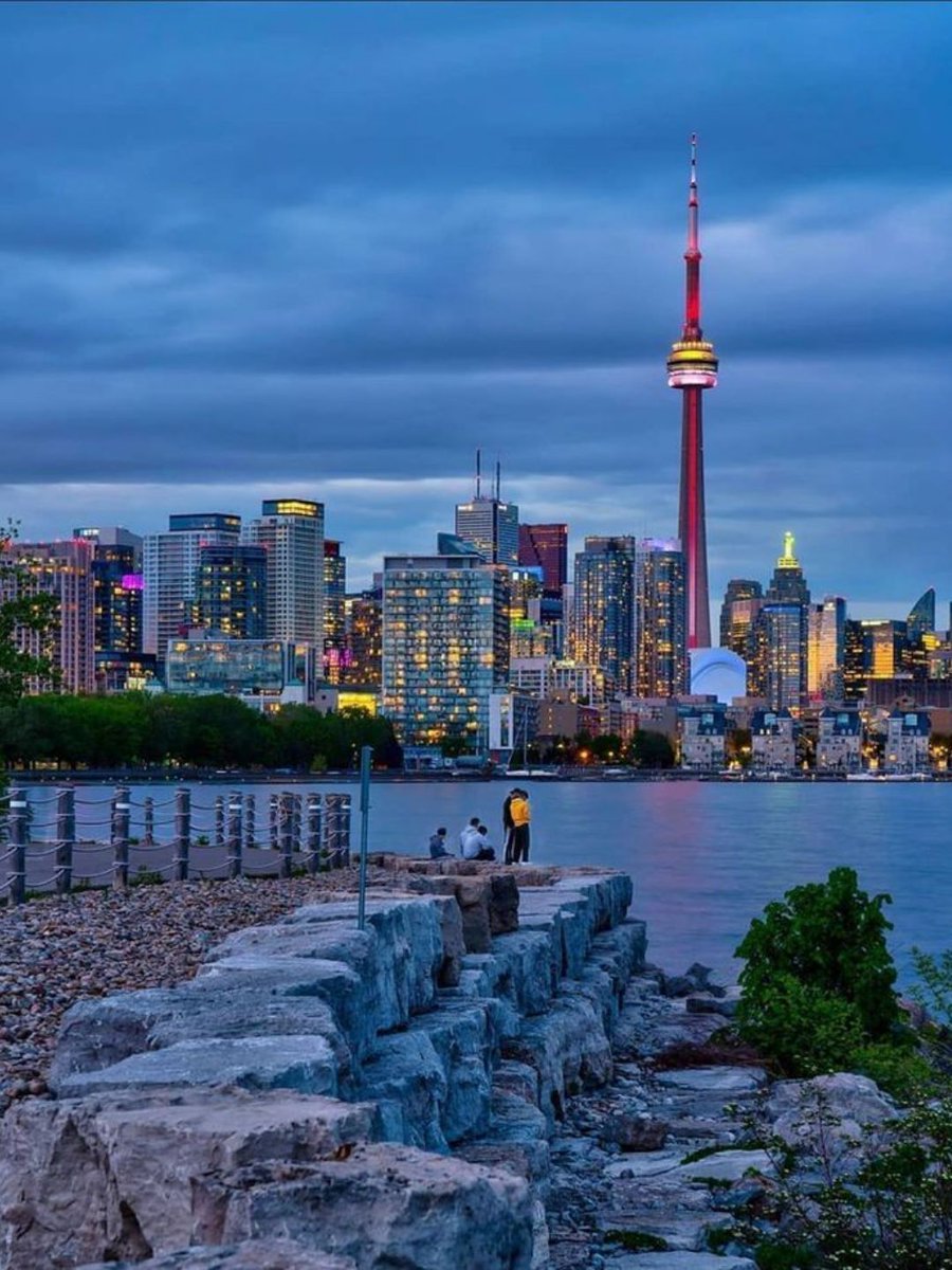 MozartCultures's tweet photo. toronto, canada https://t.co/WmxRHSXdMm