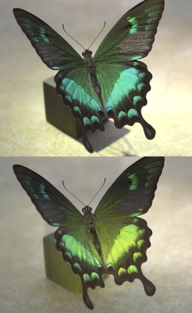 販売終了🦋山﨑 理 (@yamazaki_design) / Posts / X