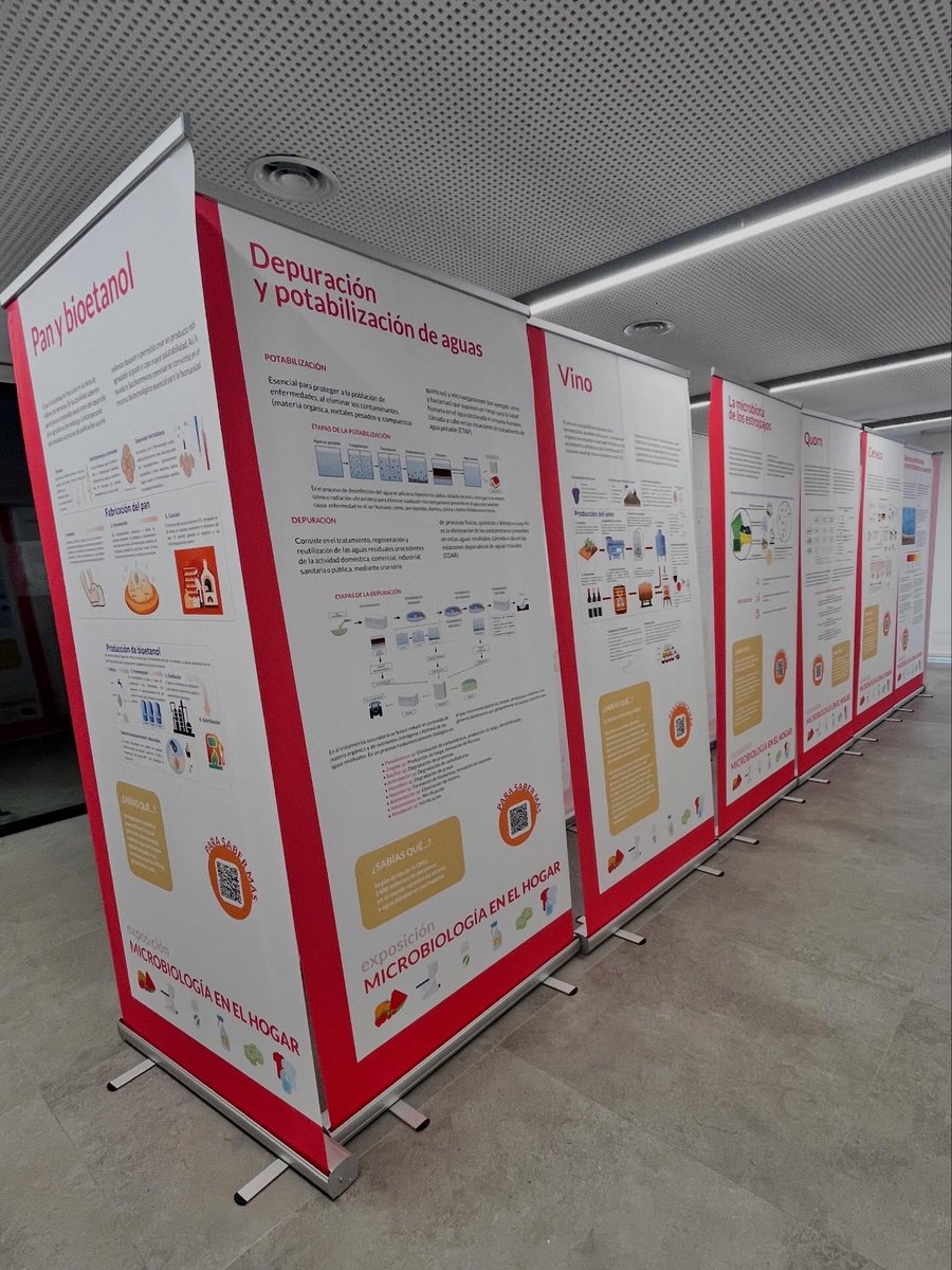 COFSalamanca's tweet photo. Llega al Colegio la exposición “Microbiología en el hogar” ✨
Una muestra divulgativa y muy visual para descubrir cómo los microorganismos forman parte de nuestra vida diaria: en la limpieza 🧽, los alimentos 🥖, la cosmética 💄 y la salud 💊.
@RaulRivasG @UCCiUSAL @usal
#cofsa https://t.co/YEmZsO9K4g