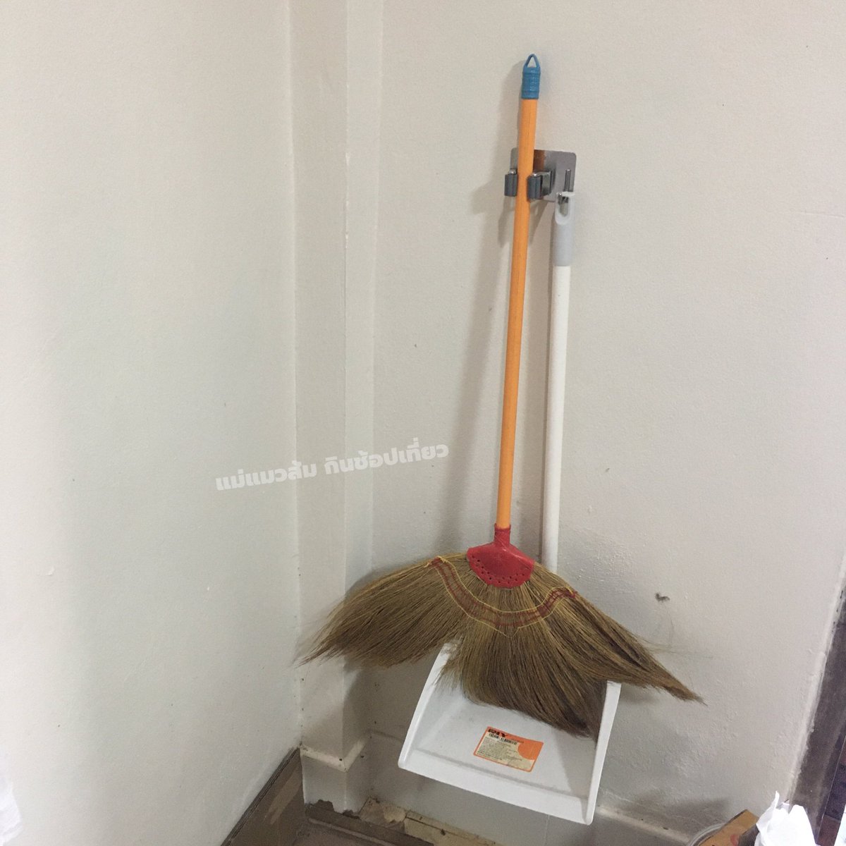 แม่แมวส้มห้าตัว|อ่านนิยายวาย tweet media