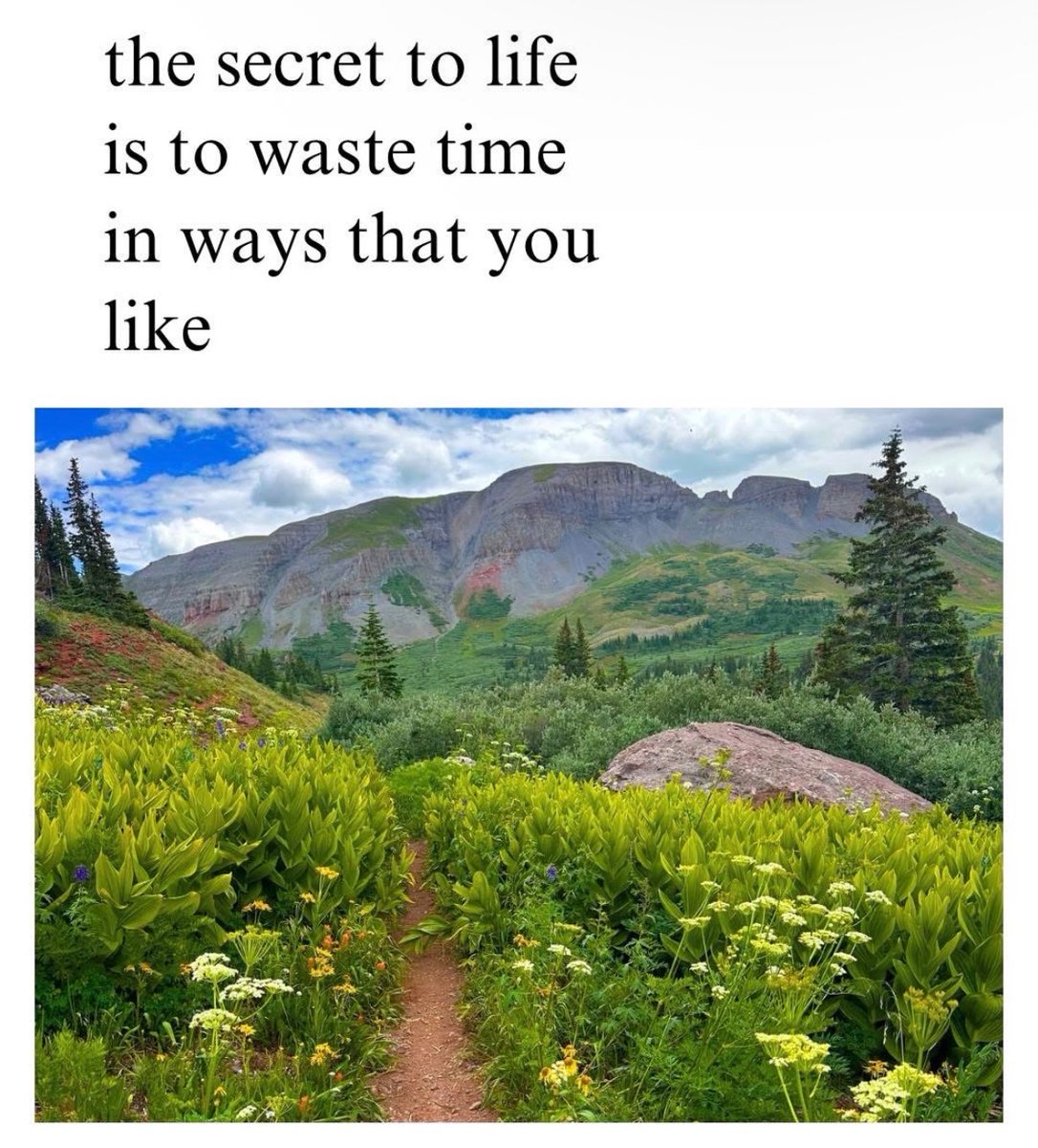 Respectful Memes (@respectfulmemes) on Twitter photo 