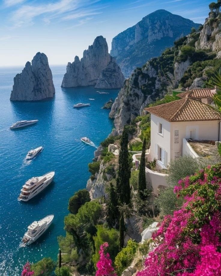 𝒍𝒖𝒏𝒂 tweet media